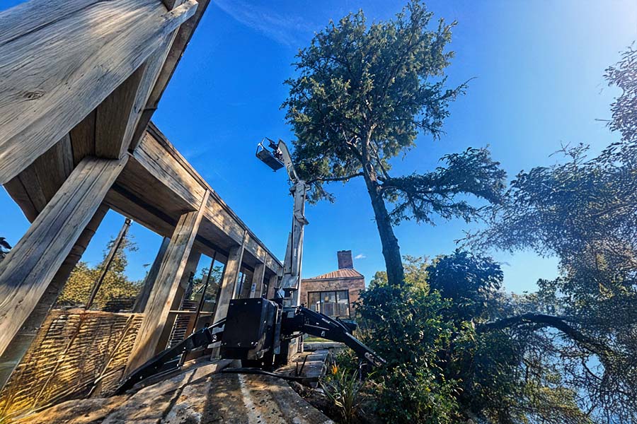 Commercial Tree Surveys