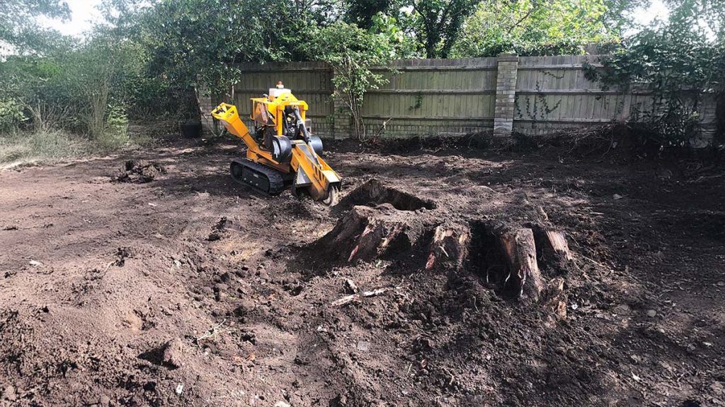 Tree Stump Removal and Ground Restoration